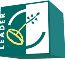 leader_wuerfel