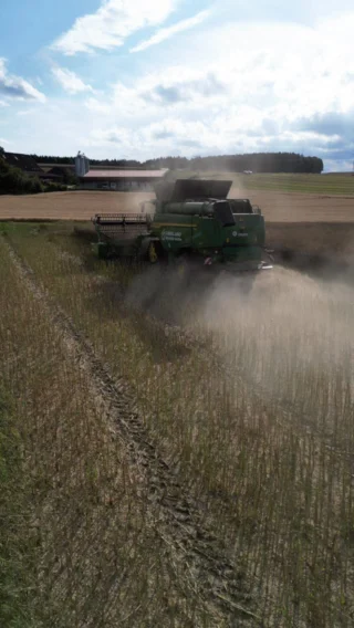 Unser neuer John Deere T6 800 im Raps 💚💛
#johndeere #mähdrescher #t6800 #raps #ernte #erntezeit #erntezeitistdieschönstezeit #landwirtschaft #leidenschaft #farming #teamoberlandservicegmbh